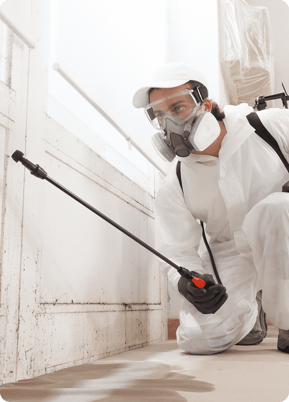 A Josh Lowe's Dr. Energy Saver professional conducting proper insulation.