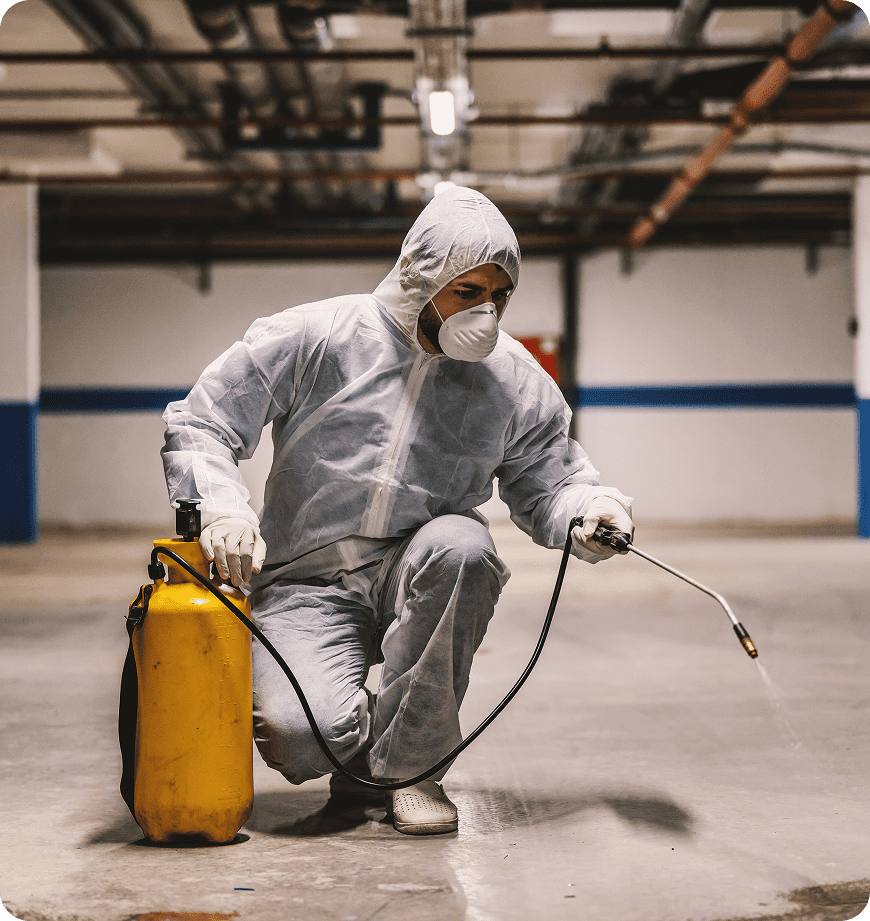 A crawl space pest control professional