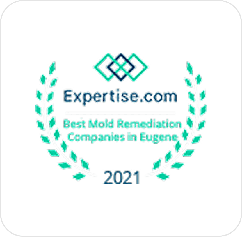 Award badge for mold remediation in Eugene.