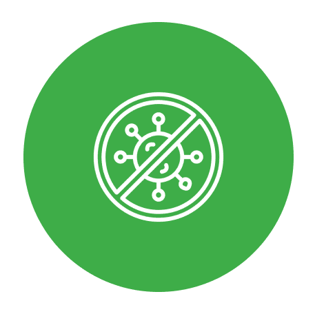 Effective mold control solutions for healthier indoor environments.