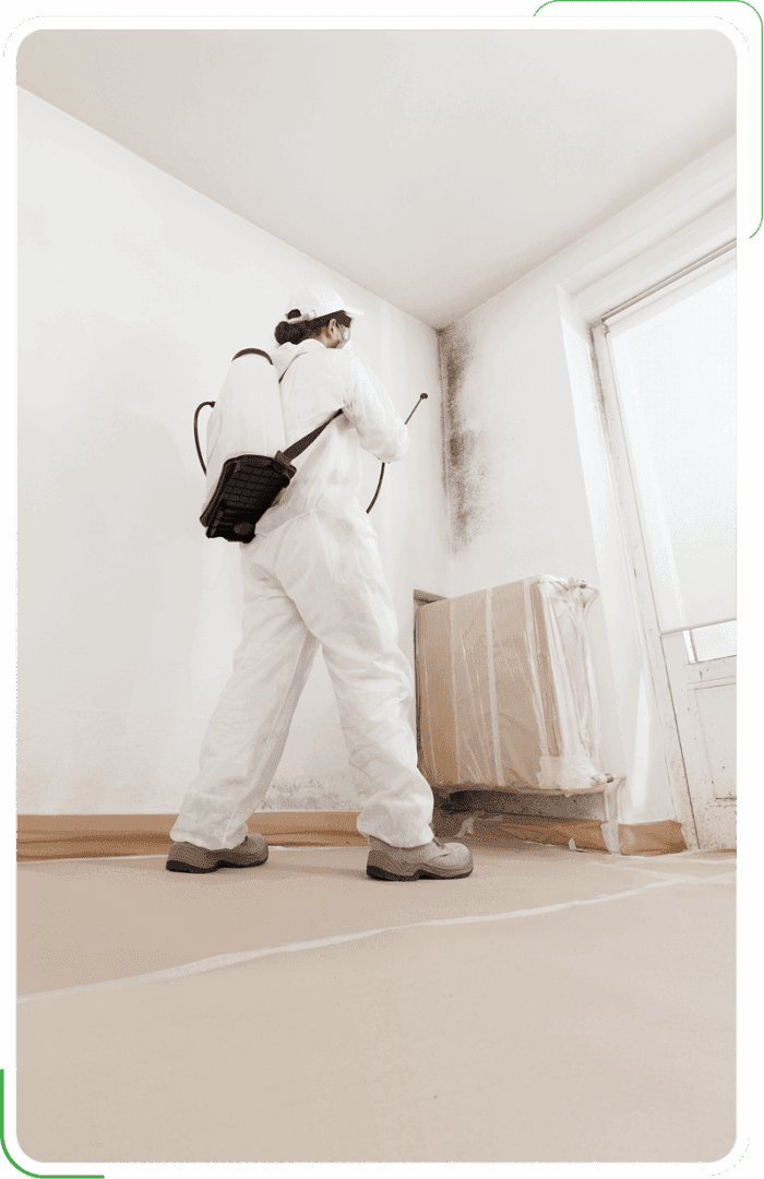 A professional conducting intensive mold remediation in Eugene, OR.