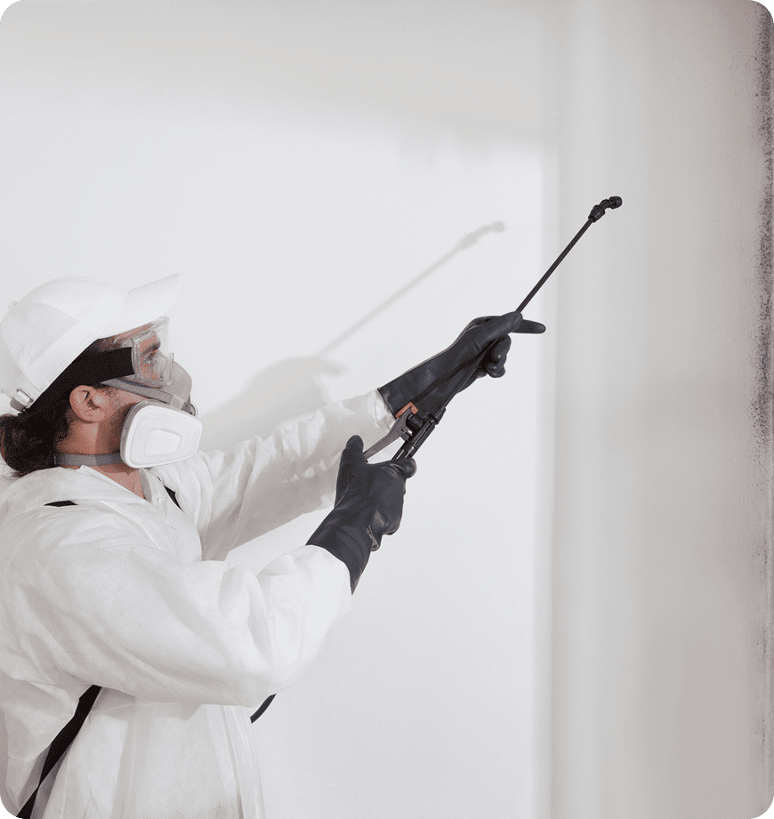 Mold treatment specialist providing a variety of easy options.