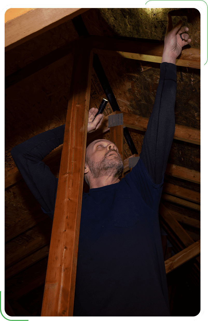 Expert inspecting the roof for attic mold removal needs.