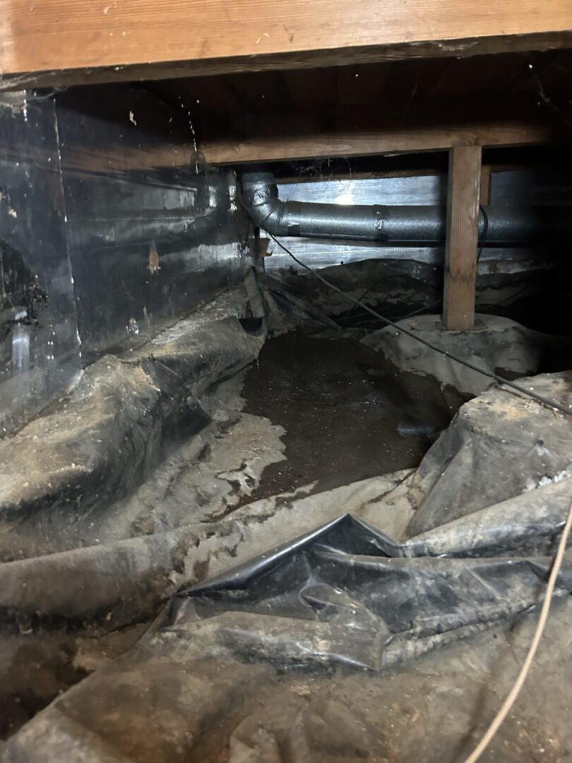 Moist area beneath wooden floor beams